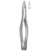 Tooth Extracting Forceps (155)